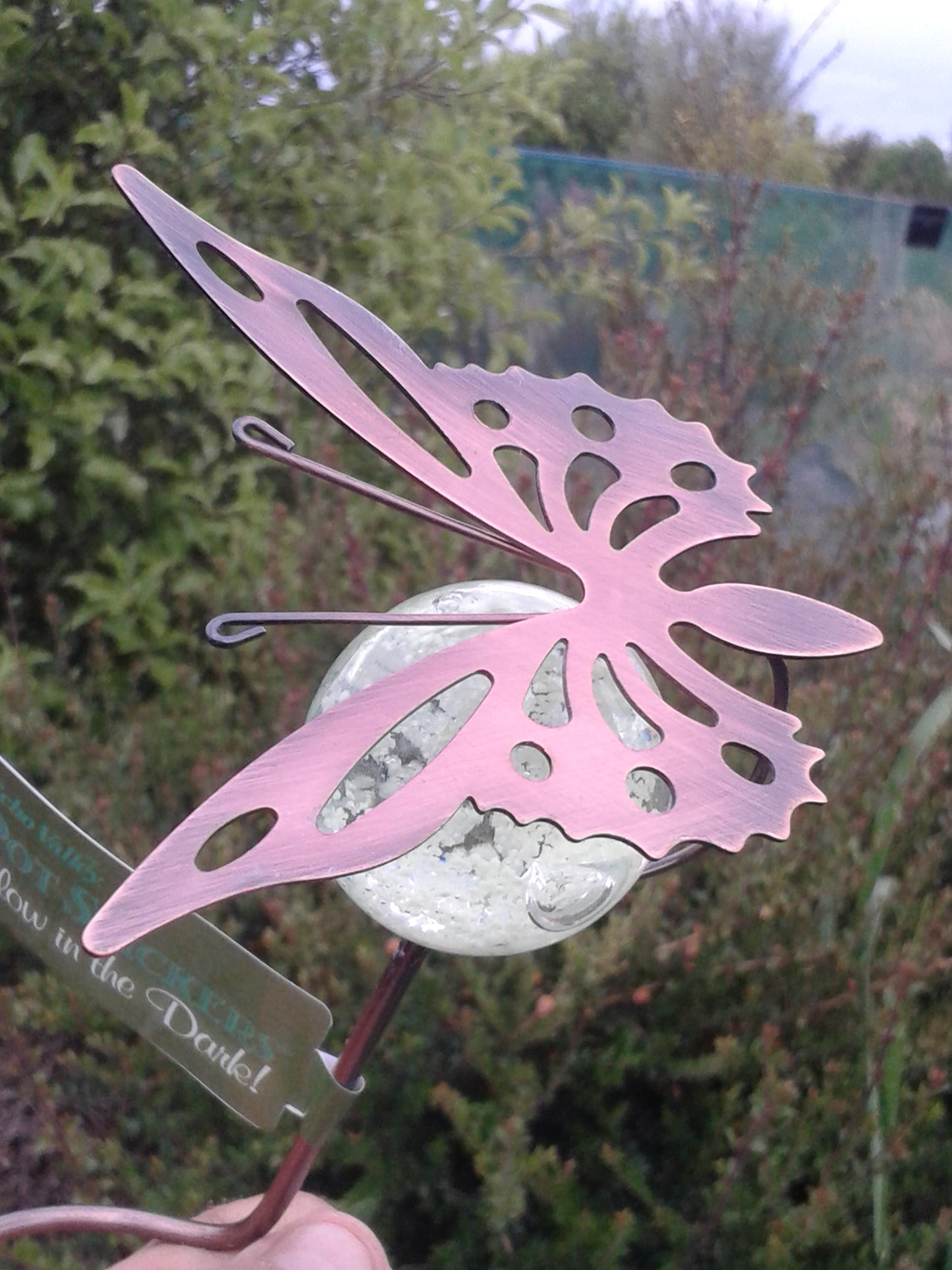 4219CR 24 PCE MIN CRITTER GLOW