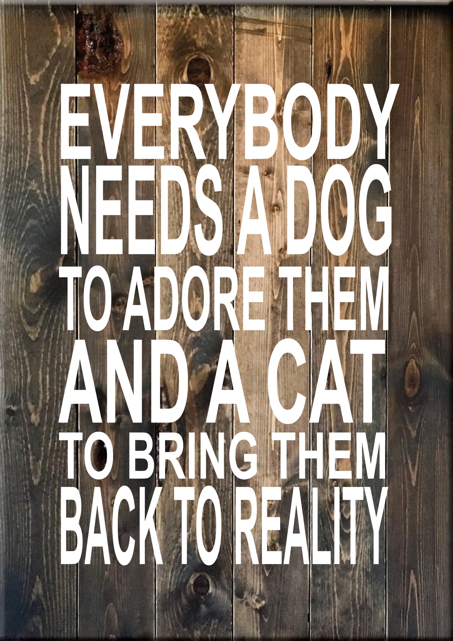 AN1 EVERYBODY NEEDS A DOG