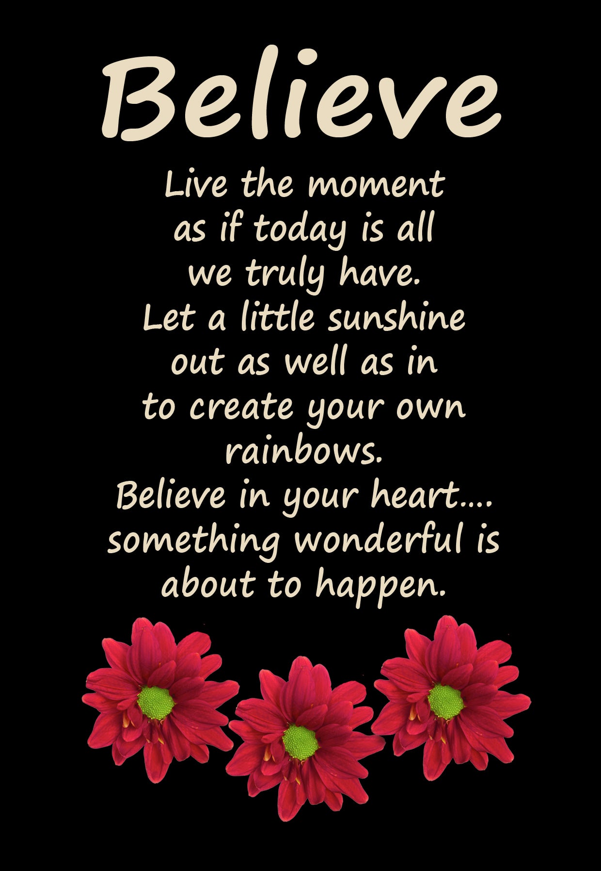 GE15 BELIEVE GERBERA