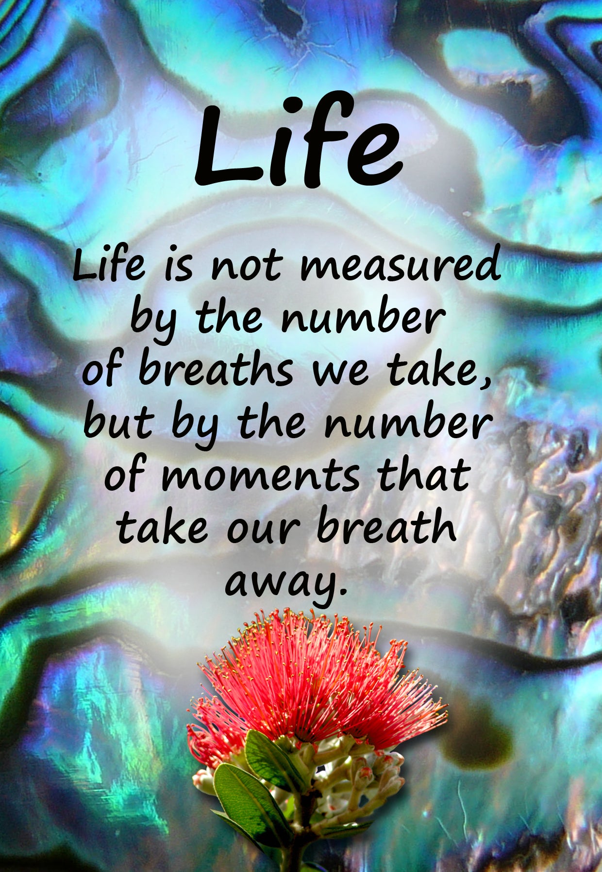PAU18 LIFE POHUTAKAWA 100/150