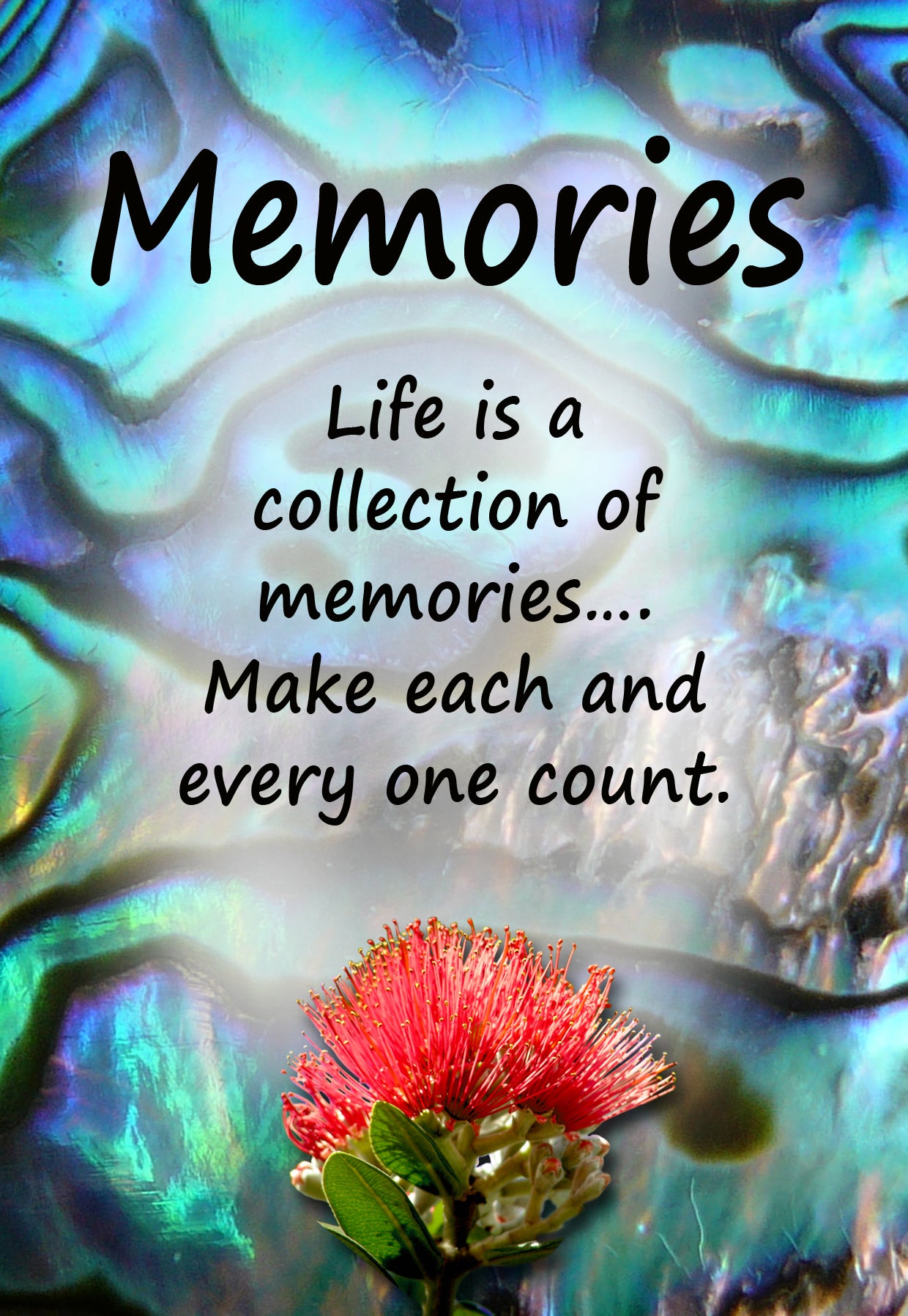 PAU15 MEMORIES POHUTAKAWA