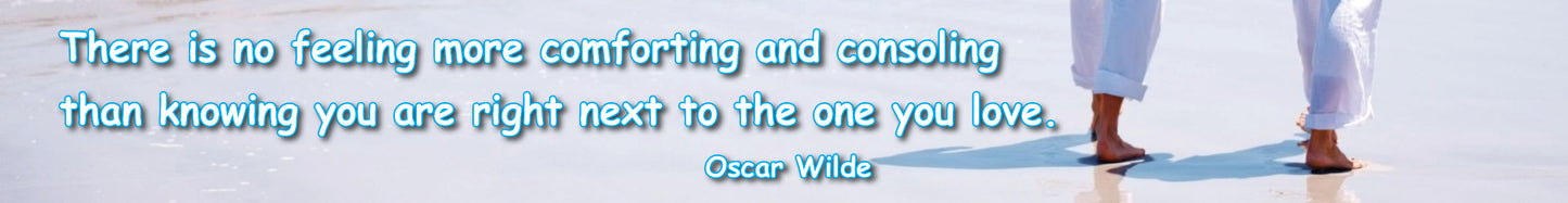 NZB70B THERE IS NO FEELING