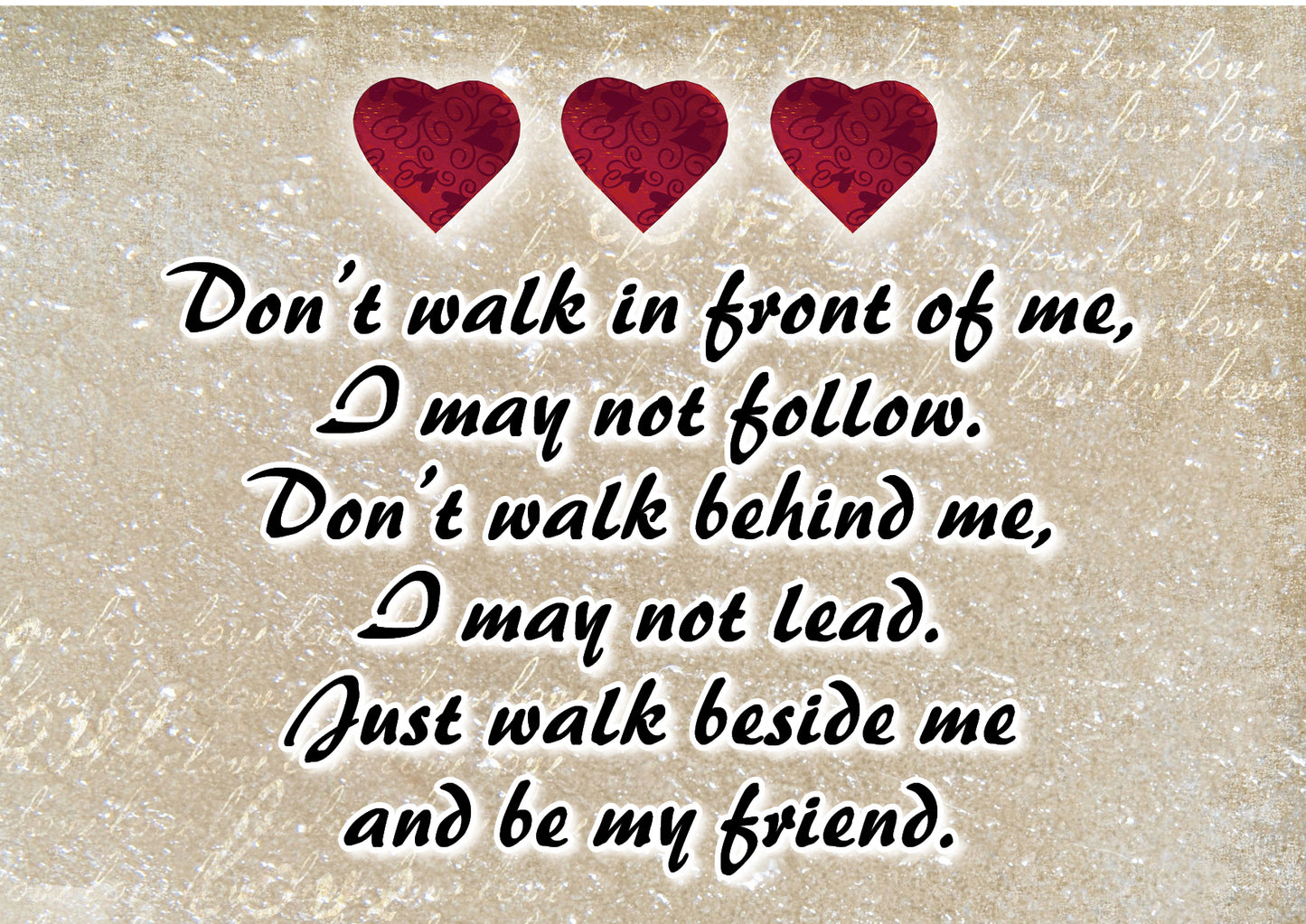 NZL25A DONT WALK IN FRONT OF