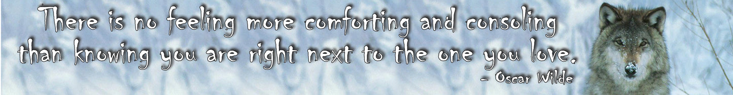 NZF70B THERE IS NO FEELING MOR