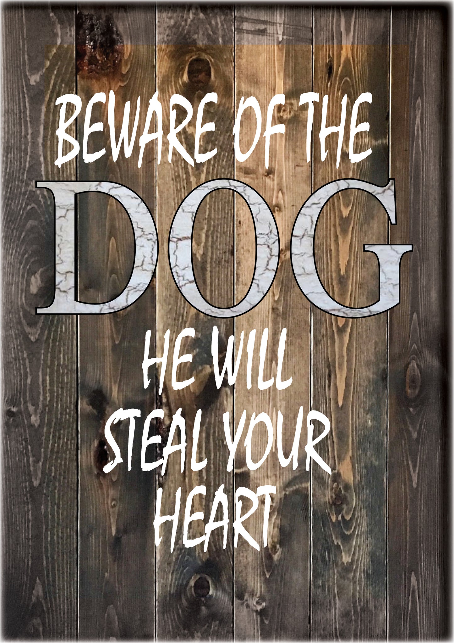 AN2 BEWARE OF THE DOG
