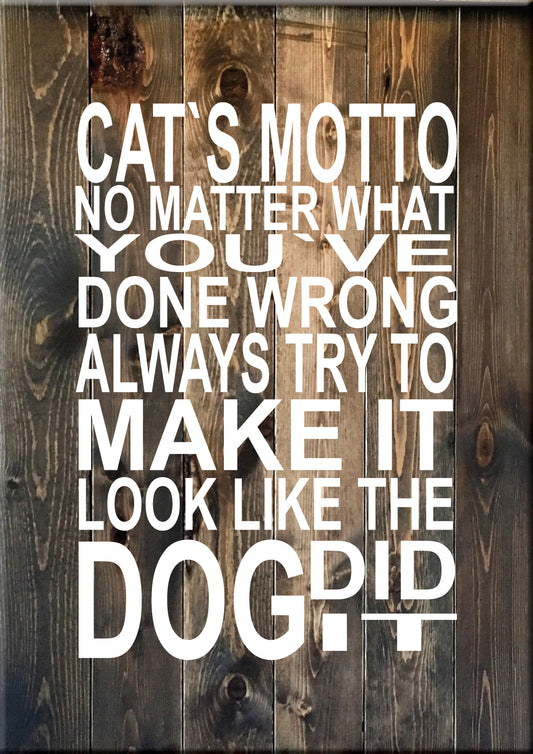 AN8 CATS MOTTO NO MATTER