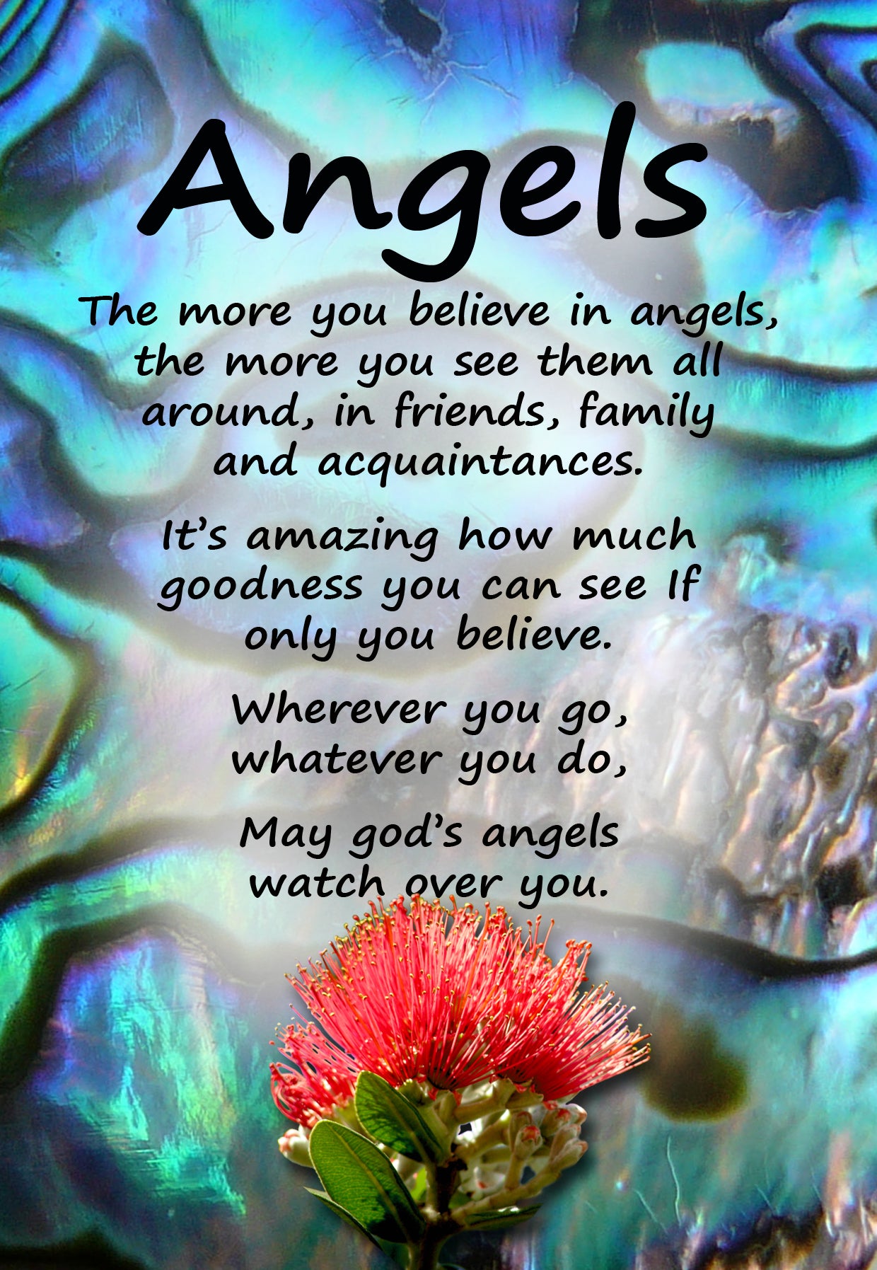PAU11 ANGELS POHUTAKAWA