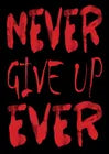 BR520 NEVER GIVE UP