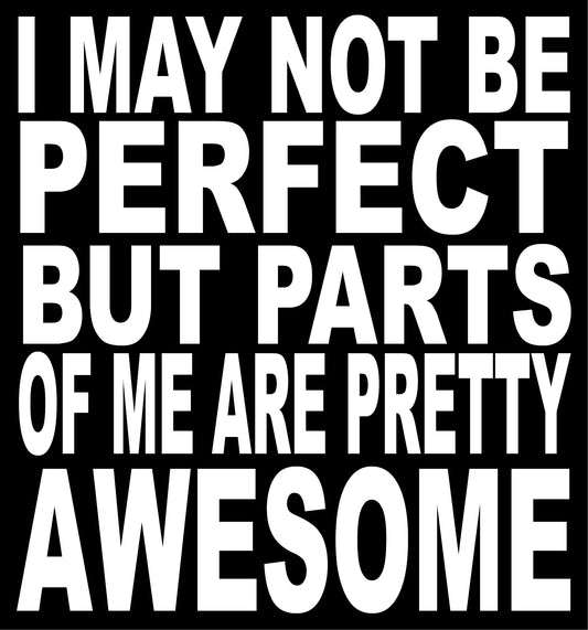 BW69 I MAY NOT BE PERFECT