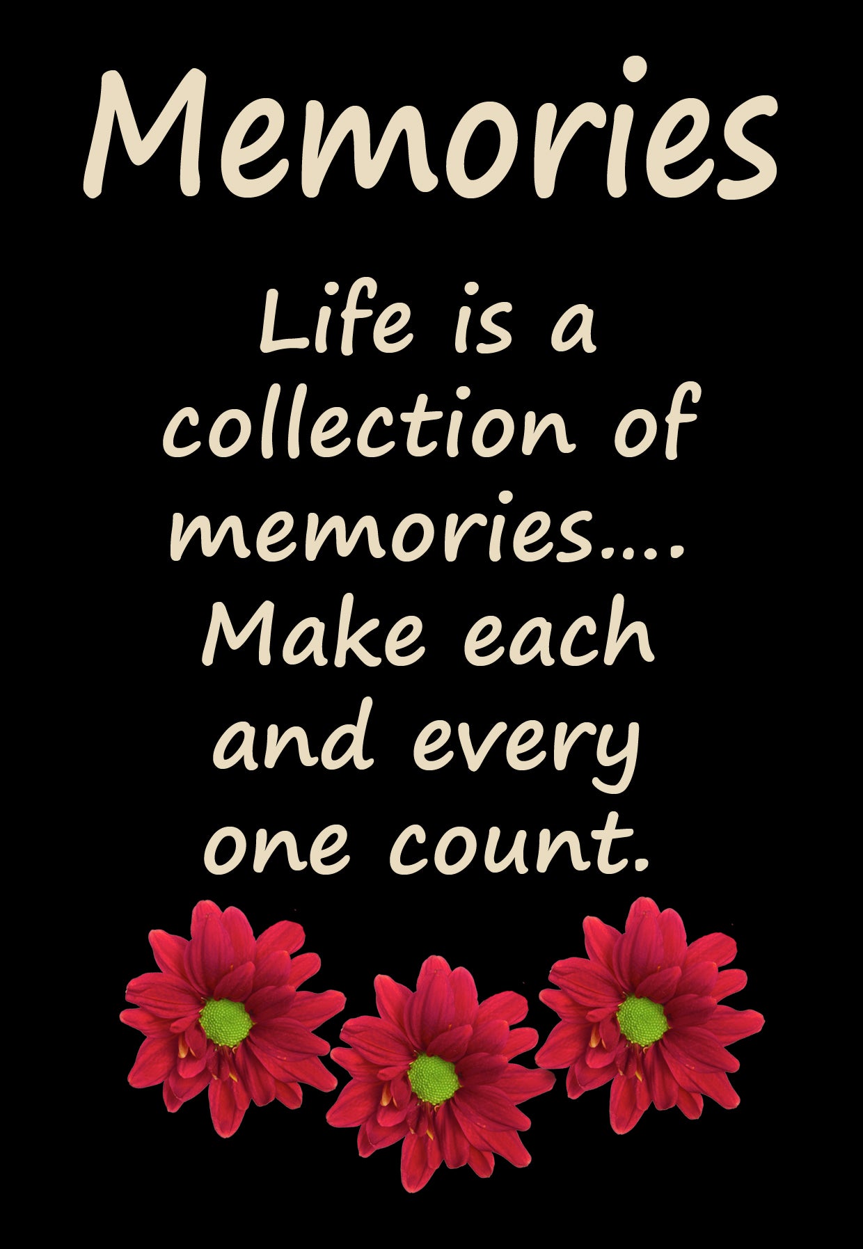 GE13 MEMORIES GERBERA 100/150