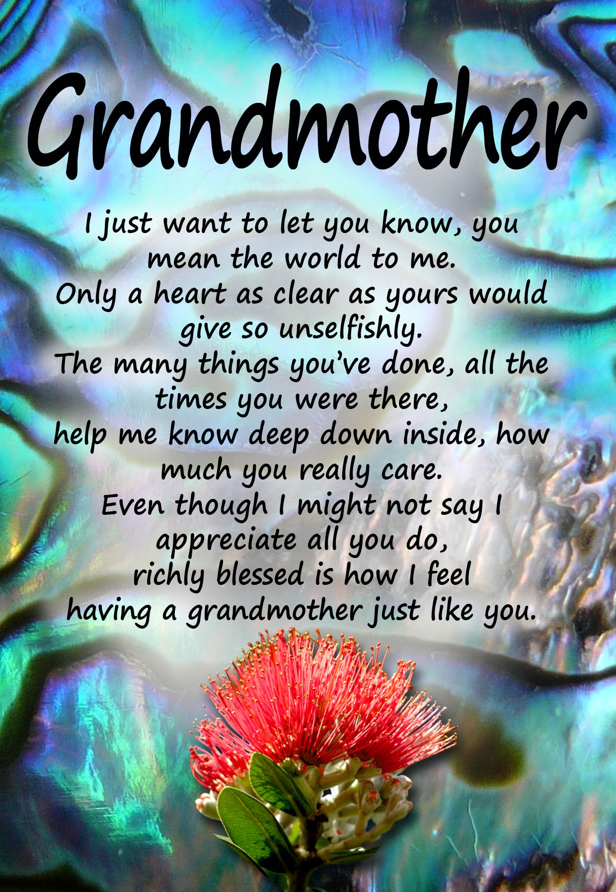PAU13 GRANDMOTHER POHUTAKAWA