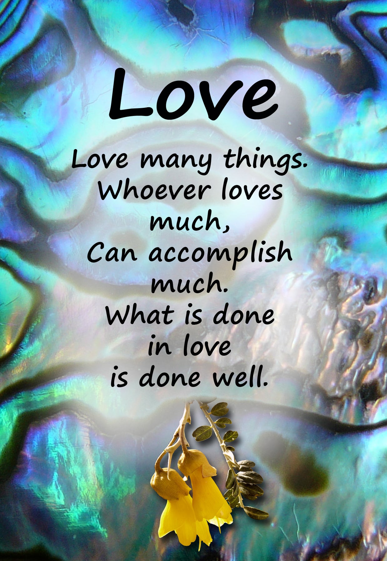 PAU7 LOVE MANY THINGS KOWHAI