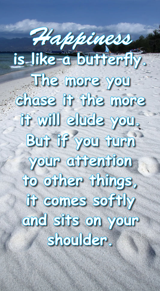 NZB613 HAPPINESS IS LIKE