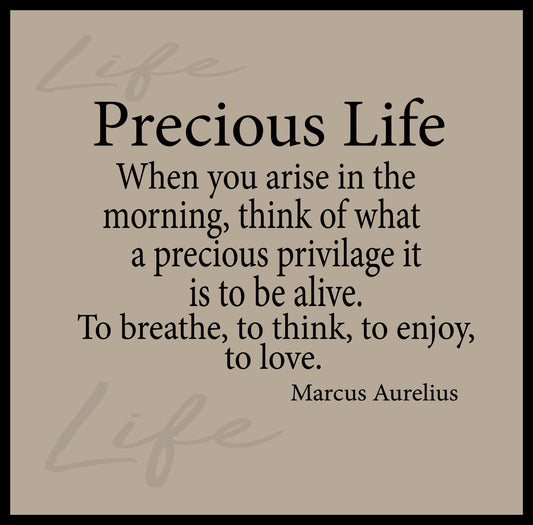 NZCM5 PRECIOUS LIFE WHEN YOU