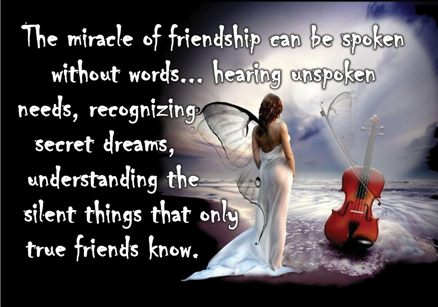 NZF5 THE MIRACLE OF FRIENDSHI