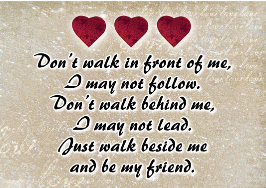 NZL25A DONT WALK IN FRONT OF