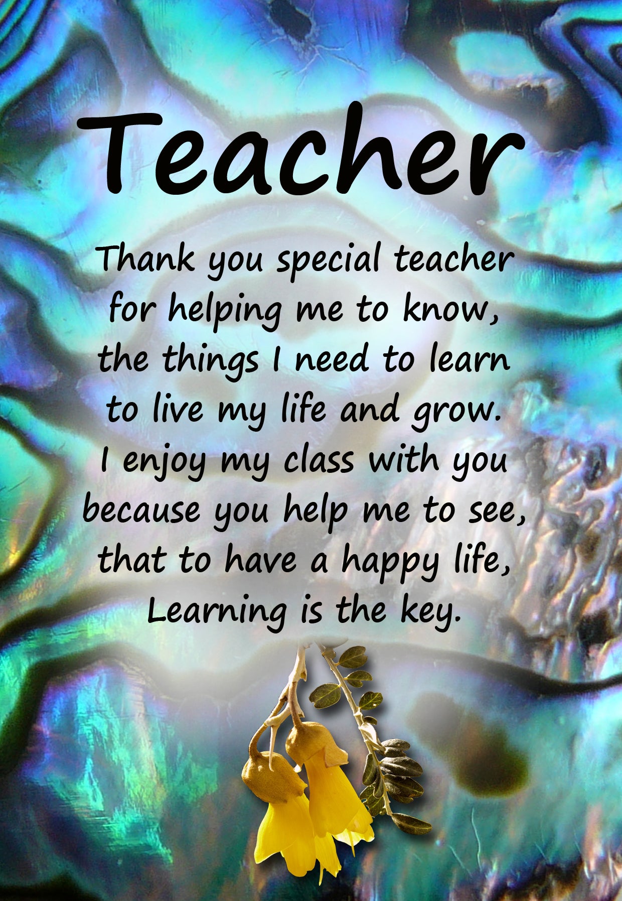 PAU2 TEACHER KOWHAI