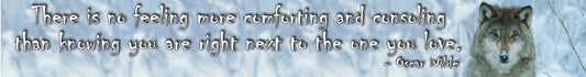 NZF70B THERE IS NO FEELING MOR