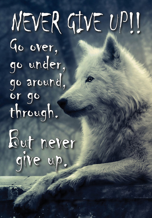 NZ91 NEVER GIVE UP WOLF