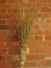 WB2 WITCHES BROOMS ( BUNDLE20)